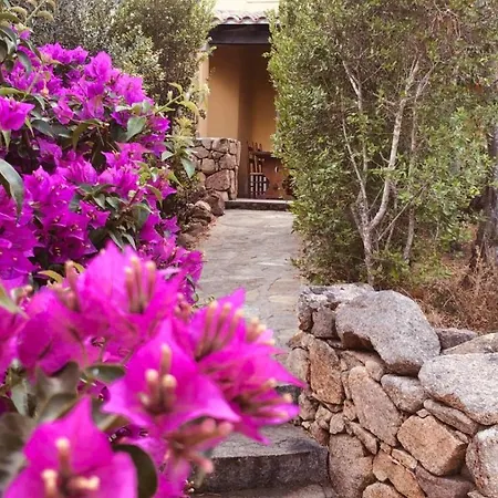 Holiday home Casa E Natura Porto San Paolo (Sardinia)